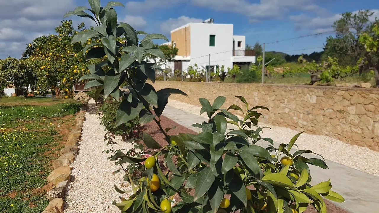Finca Can Pepis Santa Agnes de Corona